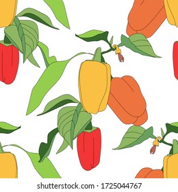 Ripe pepper in the garden. Vector illustration.Seamless pattern.