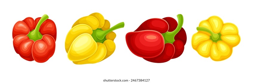 Ripe Pepper Vegetable of Bright Color Vector Set