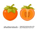 Ripe persimmon fruit on white background. Persimmon whole and cut. Illustration