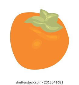 Ripe persimmon on white background