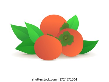 Ripe persimmons with green leaves icon. Organic farming, natural and tasty nutrition. Fresh tropical fruits isolated on white background. Persimmon color element vector illustration in flat style.