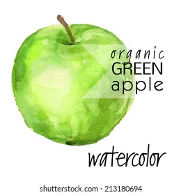 ripe picturesque (isolated on white background) green apple - brush and watercolor hand painted vector illustration