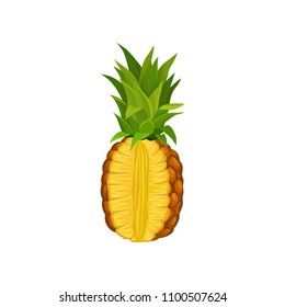 Ripe pineapple with cut. Fresh and juicy tropical fruit. Detailed flat vector element for juice or yogurt packaging
