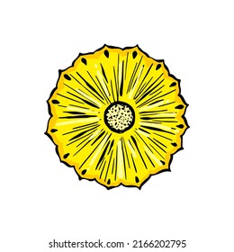ripe pineapple delicious color drawing