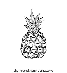 ripe pineapple delicious color drawing