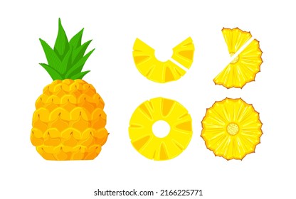 ripe pineapple delicious color drawing