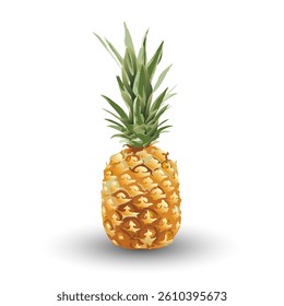 Ripe pineapple. Drawn whole pineapple on white background. Vector illustration