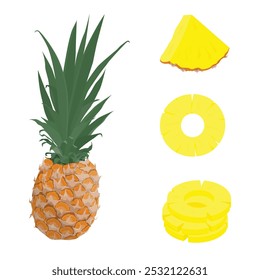 Fruta de abacaxi madura, fatias de abacaxi e anéis isolados sobre fundo branco. Ilustração vetorial de fruta tropical. Abacaxi