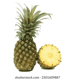 Ripe Pineapple and Half Vector Illustration