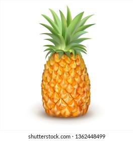 Ripe pineapple isolated on white. Vector illustration.