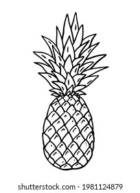 Ripe pineapple isolated on white background. Vector hand-drawn illustration in doodle style. Perfect for your project, card, logo, decorations.