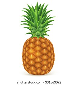 Ripe pineapple isolated on white background. Vector illustration for decorative poster or emblem natural product. Concept for farmers market. Perfect for packaging design of cosmetics and food.