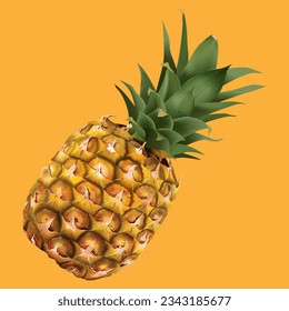ripe pineapple on orange background