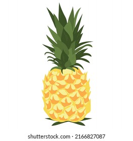 Ripe pineapple on white background