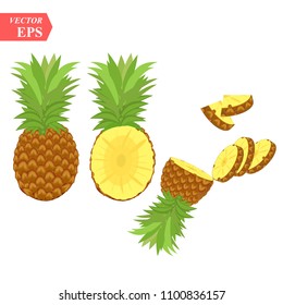 Ripe pineapple with slices isolated on white background. Vector illustration for decorative poster, emblem natural product, farmers market. Perfect for packaging design of cosmetics and food.