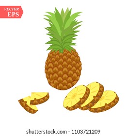 Ripe pineapple with slices isolated on white background. Vector illustration for decorative poster, emblem natural product, farmers market. Perfect for packaging design of cosmetics and food. eps 10