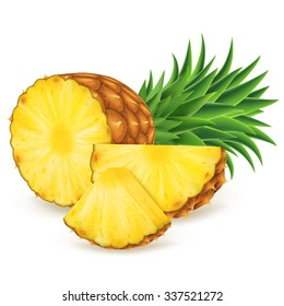 Ripe pineapple with slices isolated on white background. Vector illustration for decorative poster, emblem natural product. Concept for farmers market. Perfect for packaging design of cosmetics, food.