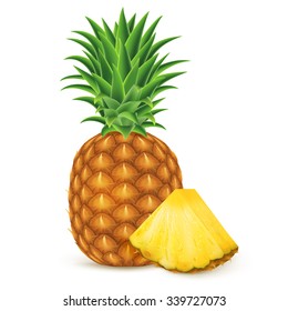 Ripe pineapple with slices isolated on white background. Vector illustration for decorative poster, emblem natural product, farmers market. Perfect for packaging design of cosmetics and food.