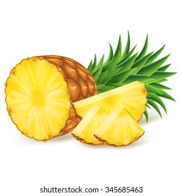 Ripe pineapple with slices isolated on white background. Vector illustration for decorative poster, emblem natural product, farmers market. Perfect for packaging design of cosmetics and food.