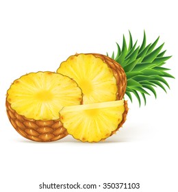 Ripe pineapple with slices isolated on white background. Vector illustration for decorative poster, emblem natural product. Concept for farmers market. Perfect for packaging design of cosmetics, food.