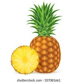 Ripe pineapple with slices on white background. Vector illustration for decorative poster or emblem natural product. Concept for farmers market. Perfect for packaging design of cosmetics and food.