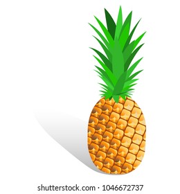 Ripe pineapple, tropical fruit. Summer fruit for healthy lifestyle. Pineapple fruit flat icon isolated on white background. Vector illustration, EPS10.