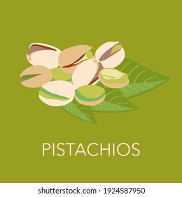Ripe pistachios nuts. green tree branch with leaves and nuts. Isolated fruit vector illustration on green background