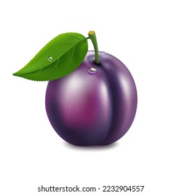 Ripe plum fruit with green leaf and drops.