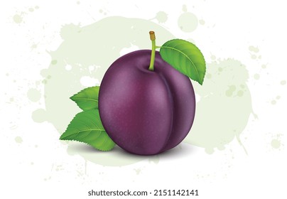 Ripe plum with green leaves vector illustration isolated on white background