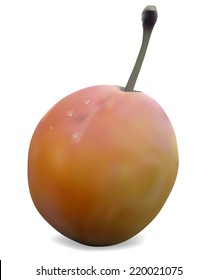 Ripe plum on a white background