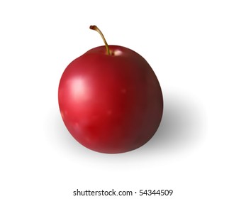 Ripe plum on white background. Mesh is used