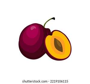 Ripe plum. Vector illustration isolated on white background