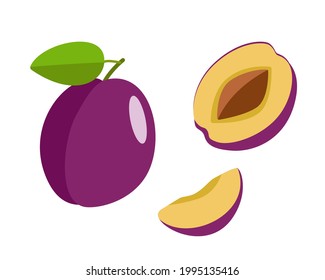 Ripe plum whole in a purple peel, half a plum with a stone and a plum slice. Vector illustration of delicious berries