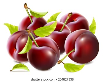 Ripe plums with leaves. Vector illustration.
