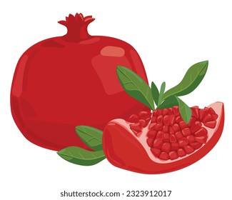 Ripe pomegranate fruit with leaves vector illustration. Isolated white background. Red pomegranate in a flat style. Sliced grenade. Southern fruit.
