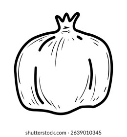Ripe pomegranate. Hand drawn doodle vector. Summer sweet tree fruit. Seasonal vitamins. Fresh organic food. Berry for healthy juice. Illustration line art element.