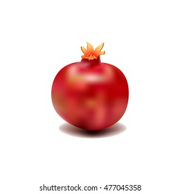 a ripe pomegranate on a white background. vector