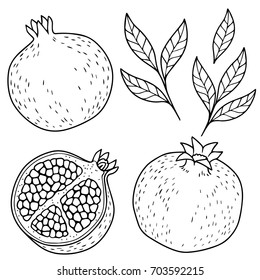 ripe pomegranate on white background. hand drawn vector isolated contur  images with a black outline