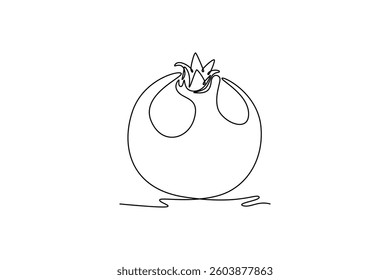 Ripe pomegranates. Fruits concept. Single line draw design. Vector graphic illustration