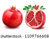 pomegranate vector