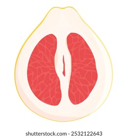 Ripe pomelo fruit cut in half isolated on white background. Vector illustration