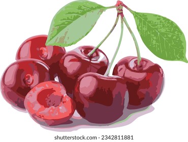 Archivo vectorial de ilustraciones de cerezo bonito