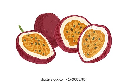 Ripe pulpy passion fruits isolated on white. Juicy sweet flesh with seeds of ripened passionfruit halves. Exotic maracuja composition in retro style. realistic hand-drawn vector illustration