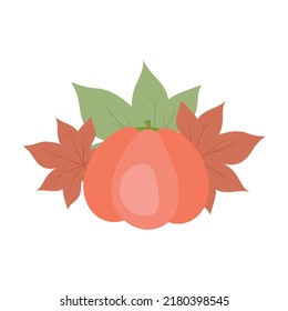 Ripe pumpkin and autumn leaves semi flat color vector object. Cropped harvest. Full sized item on white. all season simple cartoon style illustration for web graphic design and animation