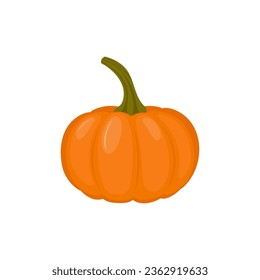 Ripe pumpkin. Color vector image on a white background.