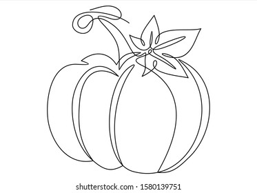 Ripe pumpkin continuous line drawing