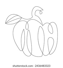 Ripe pumpkin continuous line drawing