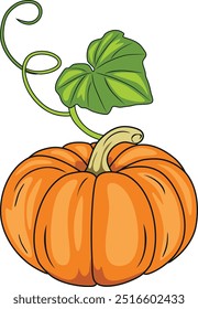 Ripe pumpkin with green leaf isolated on white. Vector