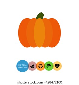Ripe pumpkin icon