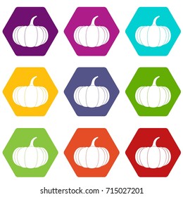 Ripe pumpkin icon set many color hexahedron isolated on white vector illustration